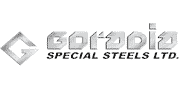 Goradia special steel